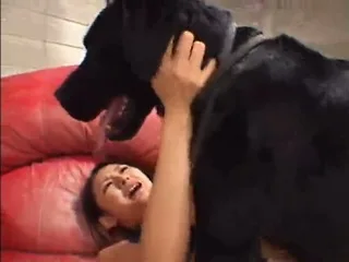AV