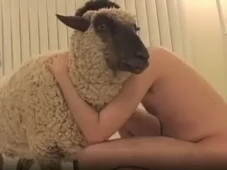 SEX